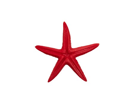 «Морская звезда сахарная малая» 27 х 27 х 3 мм. фурнитура для производства сувениров