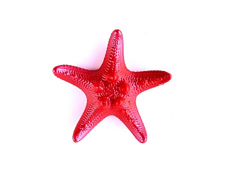 «Морская звезда Филиппинская малая» 28 х 28 х 7 мм. фурнитура для производства сувениров