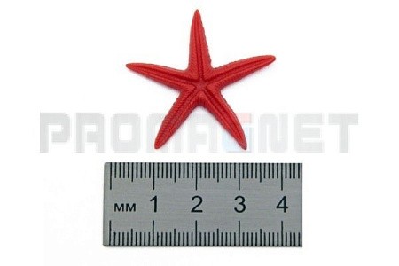 «Морская звезда сахарная большая» 35 х 35 х 4 мм. фурнитура для производства сувениров