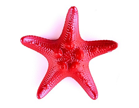 «Морская звезда Филиппинская большая» 40 х 40 х 8 мм. фурнитура для производства сувениров