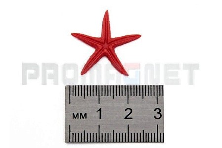 «Морская звезда сахарная малая» 27 х 27 х 3 мм. фурнитура для производства сувениров